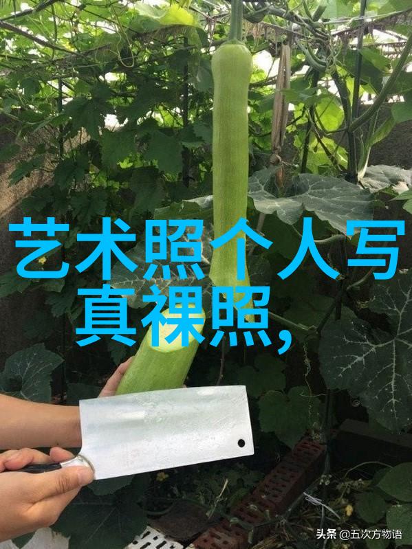 蜗居到三叉戟郝平自豪被称老头漂亮图片大全大图 岁月静好智慧照人