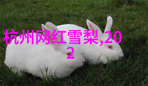 网红效应如何看待青少年被塑造的代言人角色