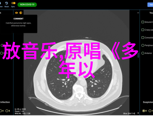 地球的五大洲探索之旅