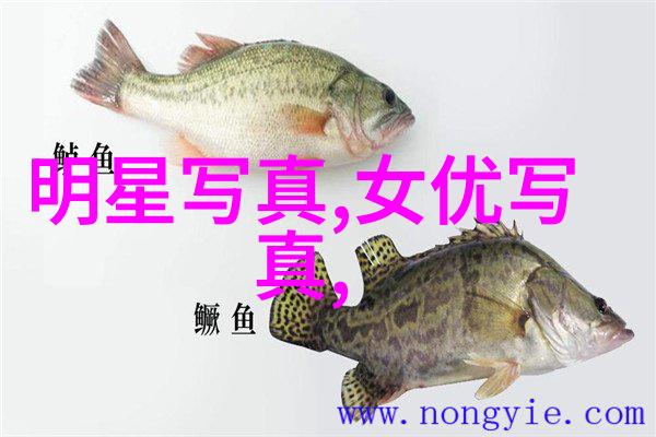 摄影的诱惑镜头下的欲望与幻想