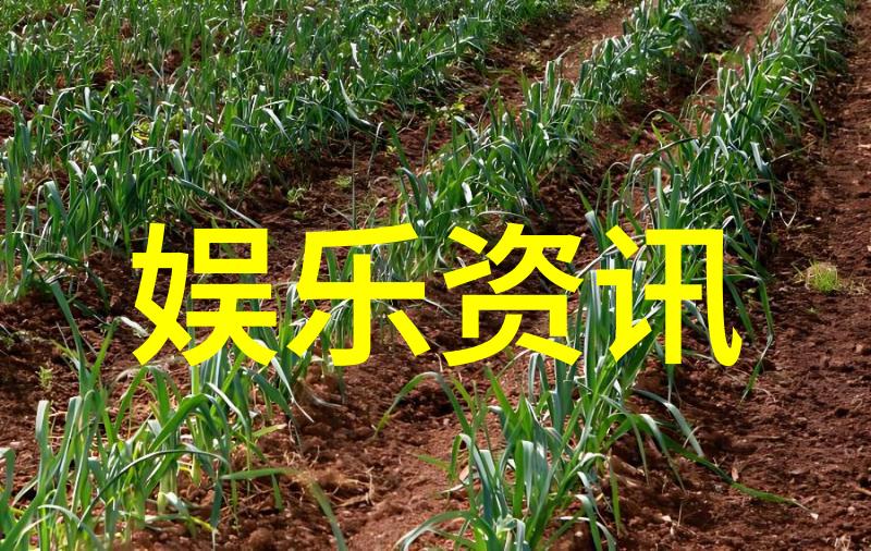 综艺盛典青年派计划开播李浩宇初次登台首唱全新单曲街子