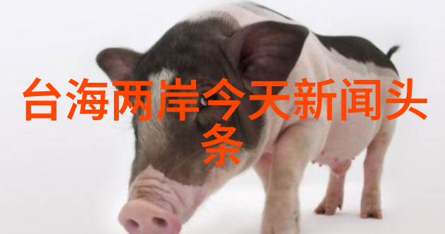 先天中天后天八卦图郑爽书下架风波网曝出轨传闻揭秘其真实动机