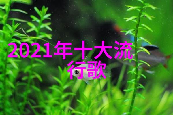 伊甸园综艺乐土里的舞台奇遇
