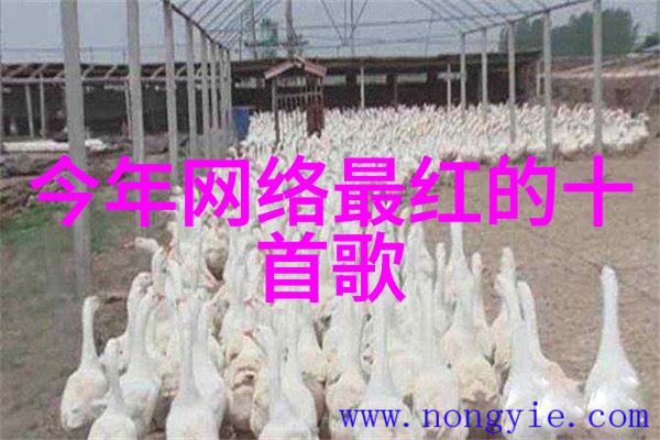 简约繁华只属于我的微博小蜜语