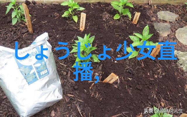 卡通头像男生我的超级有趣的卡通头像男生故事