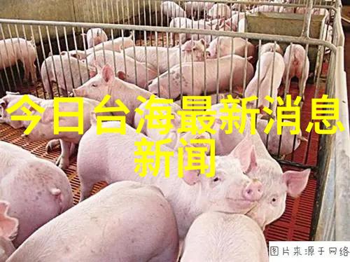 人人影视优质国产剧集资源平台
