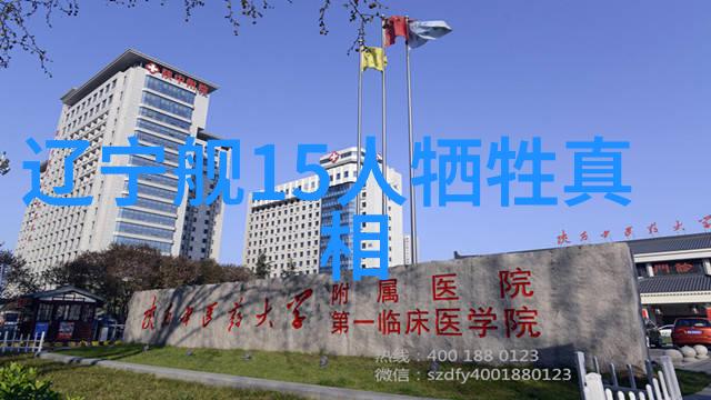 时尚买手揭秘泥膜的双重效用与使用技巧美妆达人为你解答对偶