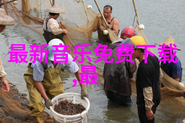 日本写真集中哪些元素最能体现其独特风格
