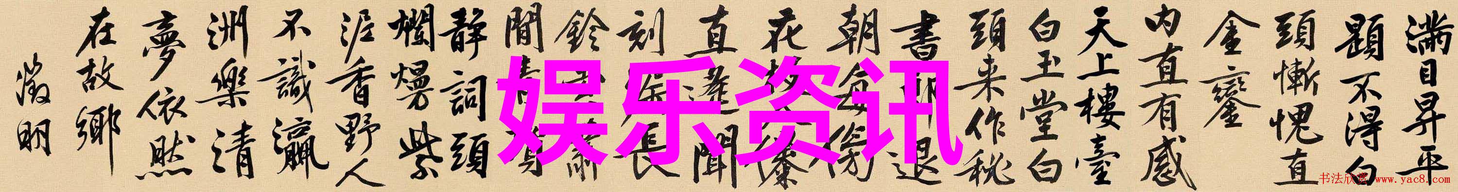 日本摄影艺术-镜头下的日本探索传统与现代写真的魅力