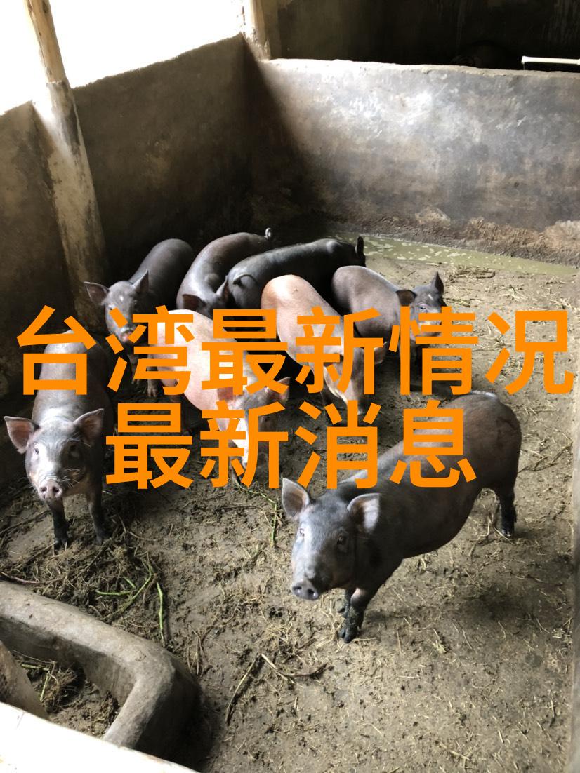 新人直播平台选择直播新手入门推荐