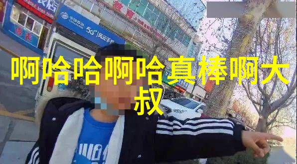 今日娱乐新闻头条星光闪耀猫咪跳舞