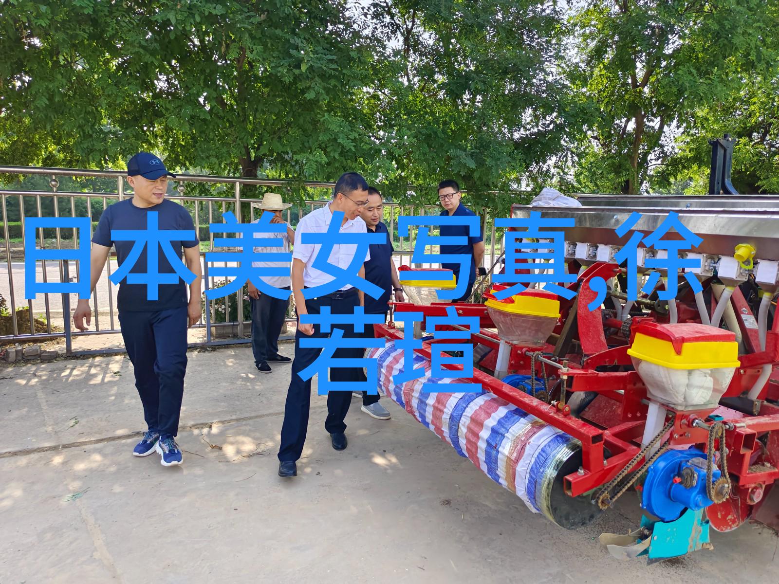 夏日绽放海滩上的一抹艳光