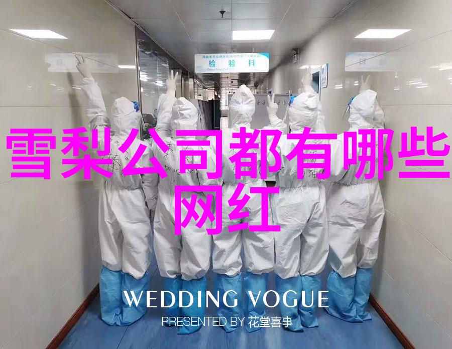 雪梨网红曾经的美丽背后藏着怎样的故事