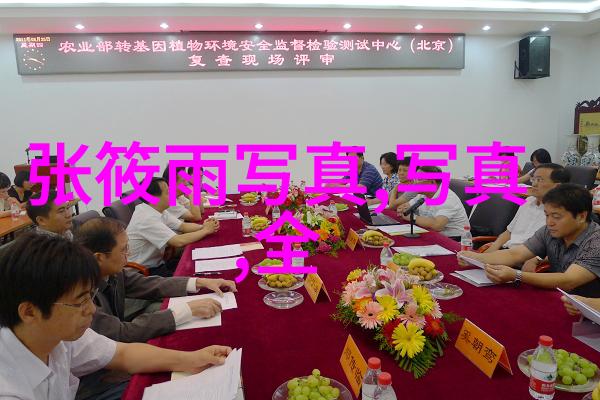 创意不止步快来跟随我们的脚步现在就一起来探索自由的世界完全无门槛的电视节目观赏之旅