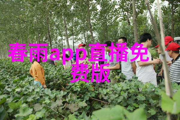 主题我都知道的那些最流行网络歌曲