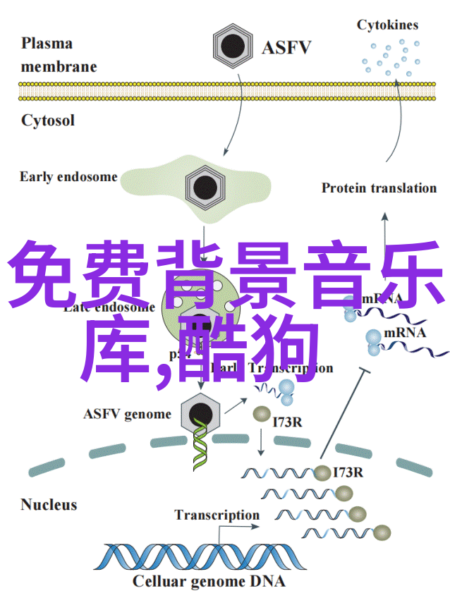 音乐世界旋律之光
