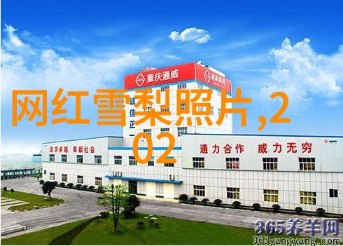 青娱乐极品视觉盛宴我眼中的星光闪耀探秘那些超级美的网红打卡地