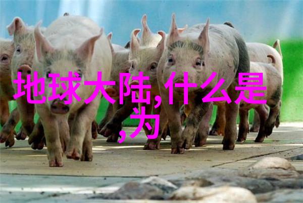 五行八卦测试我是怎么在朋友圈里被八卦测试的