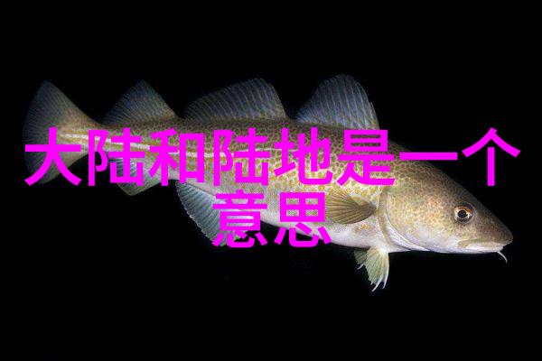 绽放的美丽最美时光综艺盛典