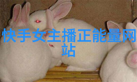我们不要台湾岛可以吗探索一场不可能的幻想