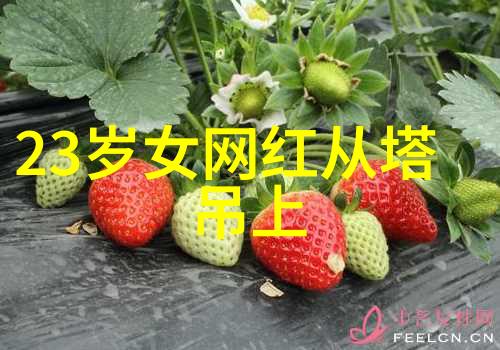 3345科技创新论坛探索未来驱动发展