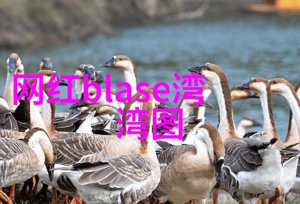 从童星到演技大师娱乐圈演技帝的成长历程