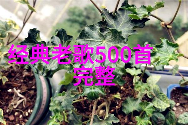 八十年代经典老歌500首回忆里的金曲我怎么能忘记那些年轻时的旋律
