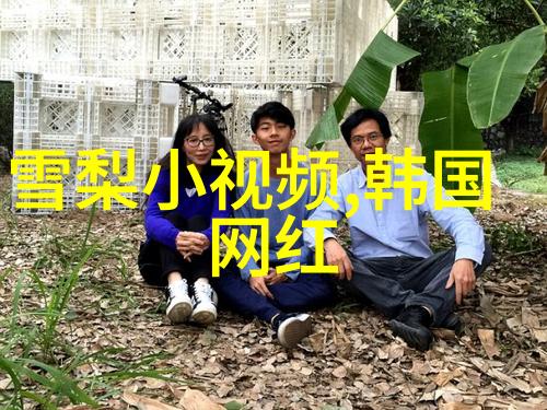 从书房到阳台一场知识与自然的交响