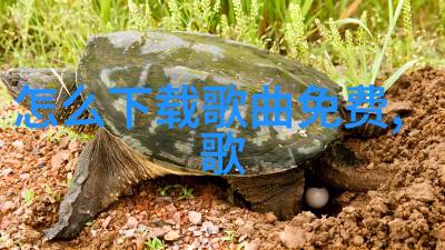 探索新模式享受优质内容今日头条极速版本特性分析