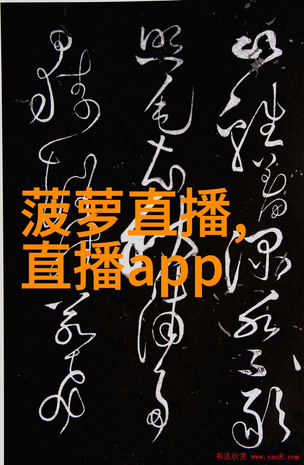 追逐时尚拥抱健康现代生活的完美结合