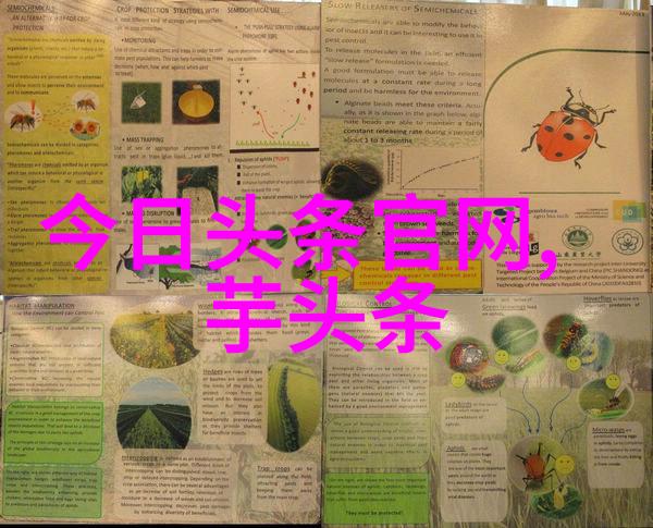 艺术写真捕捉生活的美好瞬间我是如何用镜头讲述故事的