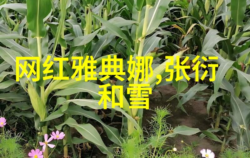 明星隐婚现象为什么他们选择不公开恋情