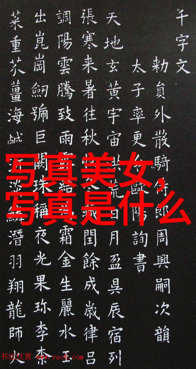 亚欧大陆与南极洲的区别地理环境气候条件生物多样性人类活动