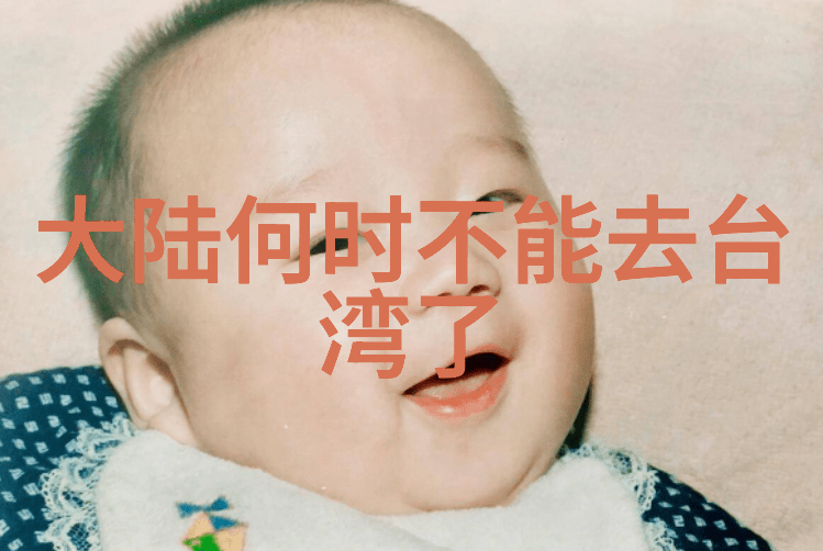 探索为有暗香来电视剧背后的文化密码