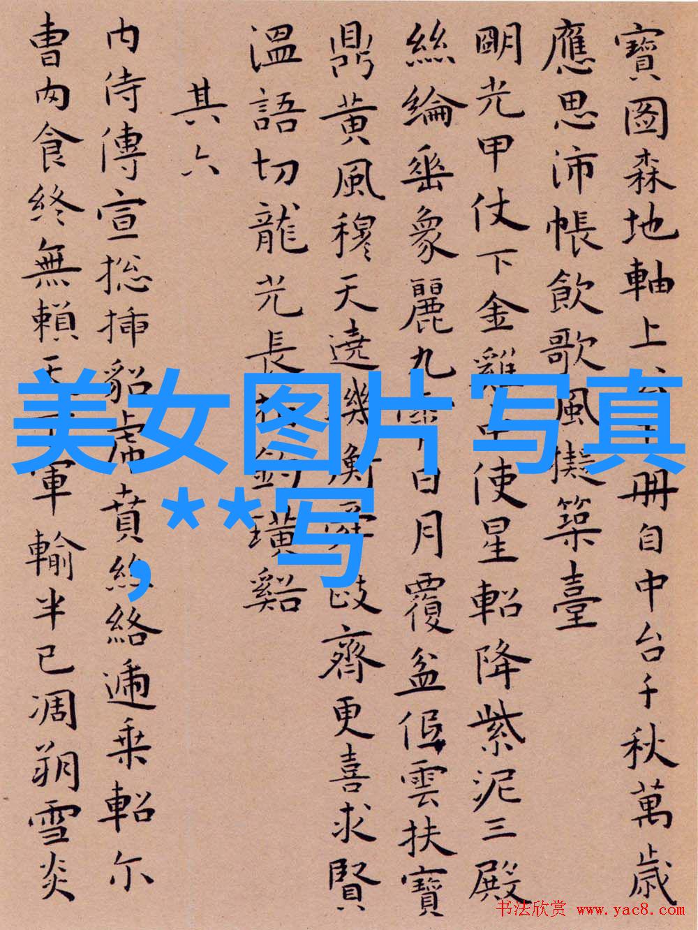 美女写真网神秘摄影师的隐秘世界