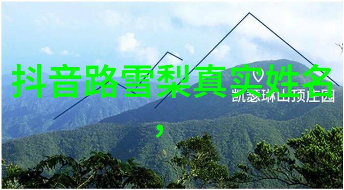 中俄两国间此类大型协议签署过程中的外交技巧值得我们学习吗
