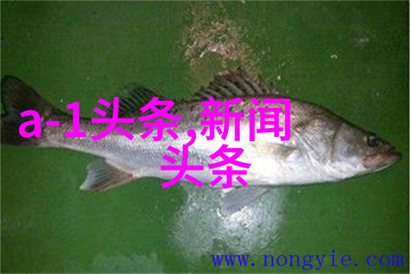 写真我是如何用一张照片记录下生命中的小确幸