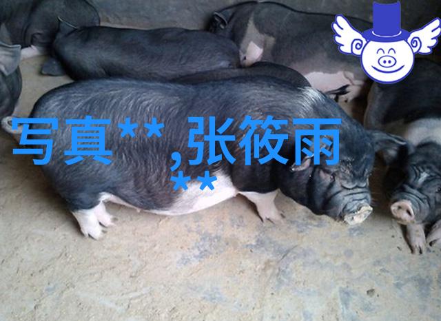 蜜桃电影解读甜美梦境与影像语言的交响