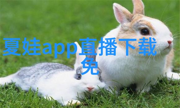 大师兄影视剧官网我是如何成为一名顶级影视剧制作人的