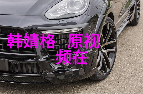 2009年电视剧回顾百花齐放的盛世