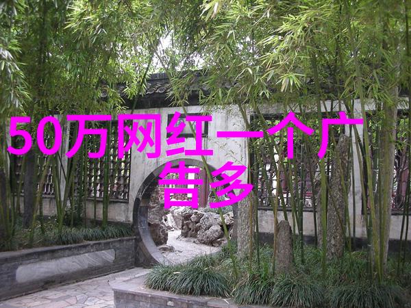 娱乐圈八卦新闻星光闪耀的背后秘密