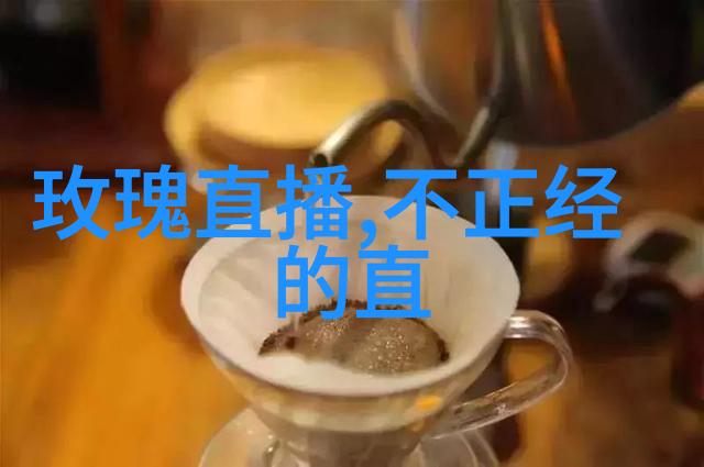 变形金刚3上海首映 亮点与遗憾并存