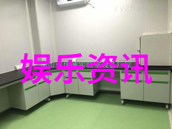 猫咪当选市长承诺每天午睡时间加倍减少人类干扰