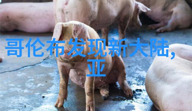 图片找相似 识别我眼中的世界一款神奇的应用让生活更简单了