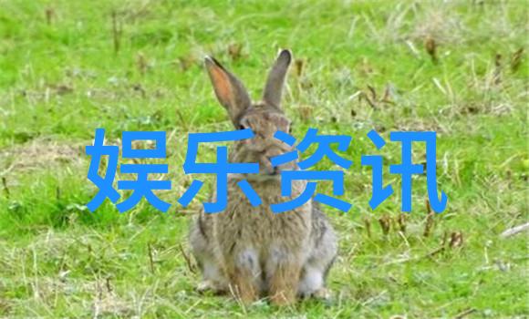 追逐梦想共筑电影帝国我与55影视频道的见证