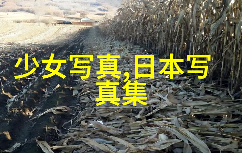 2022最火背景图片女生时尚动漫风格的美丽捕捉