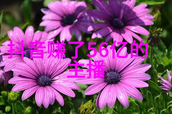 朝俞答错一道题的一支笔PLAY-失误中的创意朝俞的错误答案背后的故事
