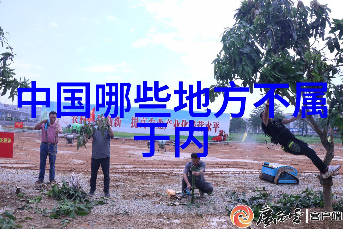 春日暖阳下的琥珀梦想