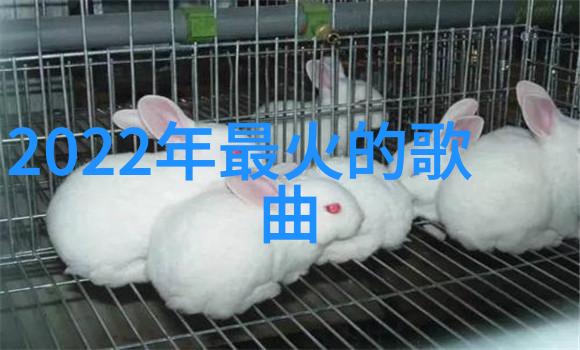 奇异剧本鲨综艺免费观看-深度解析如何在网络上找到并欣赏到那些神秘而又引人入胜的无需付费即可观看的综艺