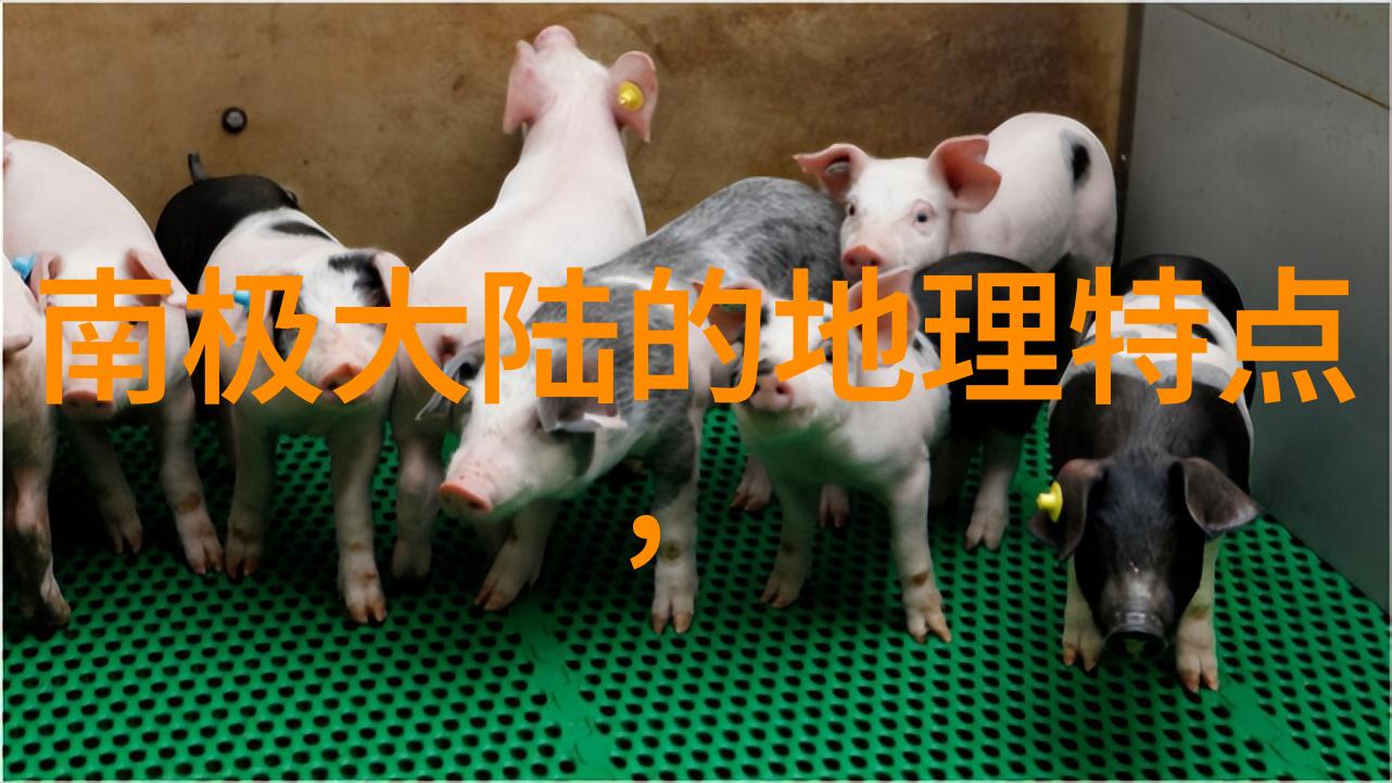娱乐圈小说我是明星的助理也是剧情的主宰
